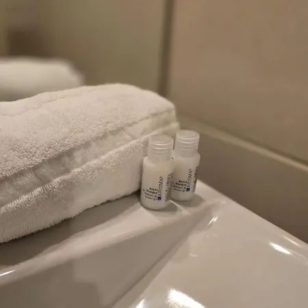 Bara ,balcony ,parking ,patte D'oie Neighborhood * Toulouse